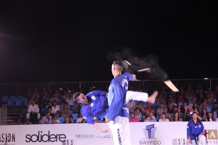 Martial Arts Festival